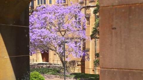 Look through the frame Stock Footage 164295546