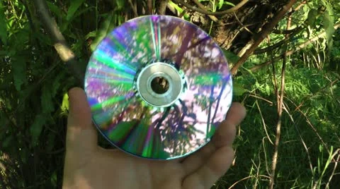 Look through a hole in the disk DVD on the surrounding wood Stock Footage 11819777