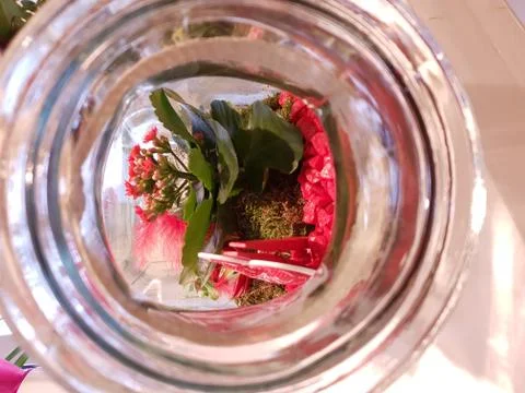 Look through the hole Stock Photos