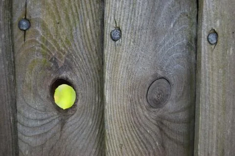 Look through! Stock Photos