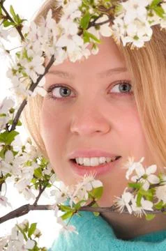 Look through spring flowers Stock Photos