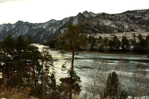 A look through tall pine trees at snow-capped mountains and a frozen river be Stock Photos
