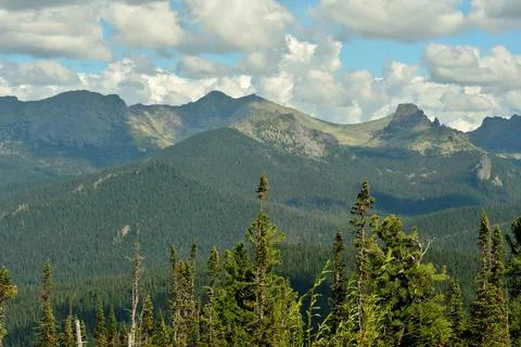 A look through the tops of pine trees at a mountain range with unusually shap Stock Photos