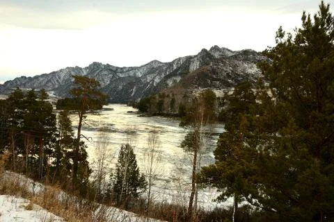 A look through the trunks of tall pine trees growing on the banks of a beau.. Foto stock