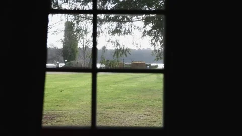 Look through window at the huge garden Stock Footage 131879862