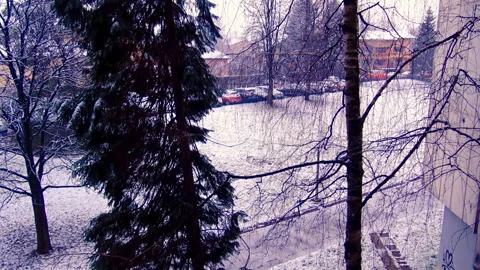 A look trough window over trees in park during ugly cold day. Video stock 206108159