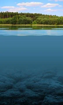 Look under the surface of the lake, between two worlds 库存照片