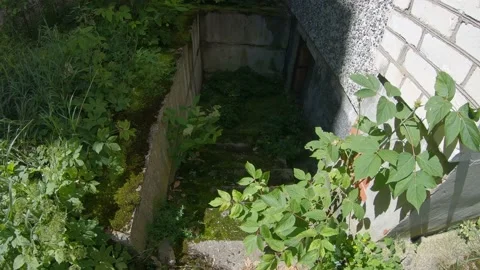 Looking at an Abandoned Building With Broken Windows Chernobyl 4k60fps Stock Footage 135833723