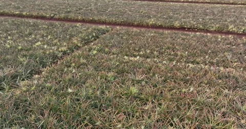 Looking Across an Empty Ocean, Drone Aerial View, Kihei, Maui, Hawaii, USA Stock Footage 236262568