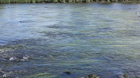 Looking across a river forth Stirling.. Stock Footage 51844391