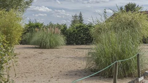 Looking across a sandy garden plot over a rope fence Stock Photos