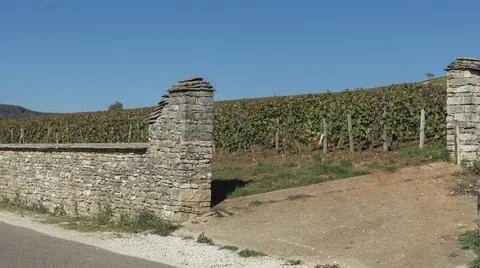 Looking across a vineyard through a stone gateway Stock Photos