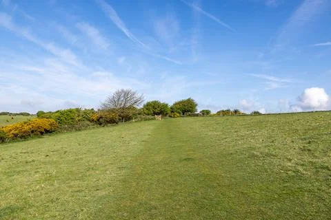 Looking along a grass pathway through a field in the Sussex countryside, on.. Stock Photos