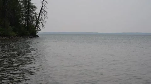 Looking along a pebble beach as the waves lap against the shore with spruce Stock Footage 312075137
