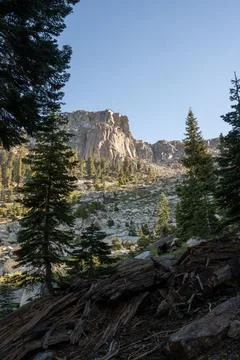 Looking up to Alta Peak from Trail Below Фото
