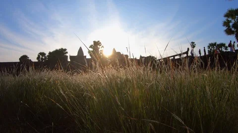 Looking Angkor Wat through meadow grass at Siem Reap, Cambodia Stock-Footage 108150984