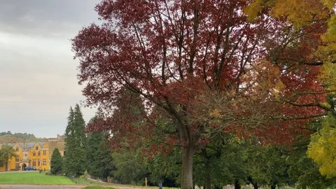 Looking around in a park Stock-Footage 119207134