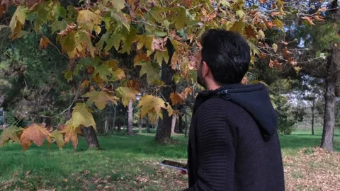 Looking around, young man looking around in autumn Stock Footage 166419488