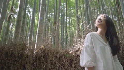 Looking up in bamboo forest Kyoto Sliding Slow motion  스톡 동영상 76540901