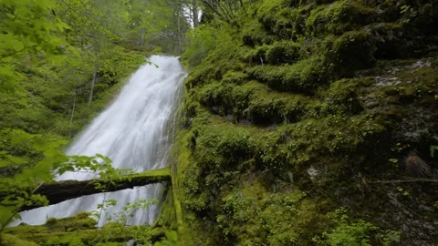 Looking up at beautiful cascade waterfall in Washington State. Wide-angle 스톡 동영상 344984206