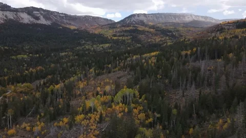 Looking up beautiful mountain canyon at changing leaves in autumn Stock Footage 162418655