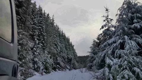 Looking behind as the Jeep goes down the trail Stock Footage 172564963