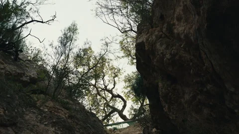 Looking up between rocky cliffs with trees and natural light 스톡 동영상 333726423
