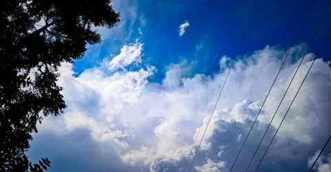 Looking Up Into The Blue Sky Foto stock