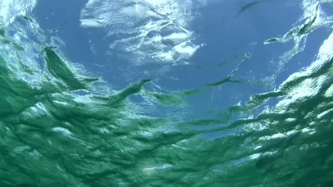 Looking Up at the Blue Sky from Underwater Stock-Footage 327504945