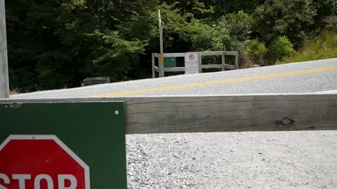 Looking both ways before crossing a road with stop sign, New Zealand. Stock Footage 260775660