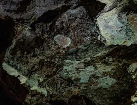 Looking Up at Boxwork Formations 库存照片