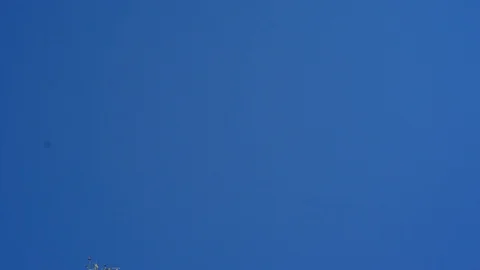 Looking up to branches - movement. Stock Footage 101214341