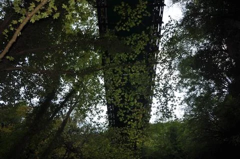 Looking up at a bridge amongst the trees on a cloudy day Stock-Fotos