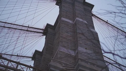 Looking Up at the Brooklyn Bridge through the Branches Stock Footage 301648882