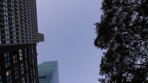 Looking Up from Bryant Park Stock Footage 113355983