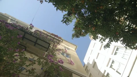 Looking up at buildings and plants Stock-Footage 83536142