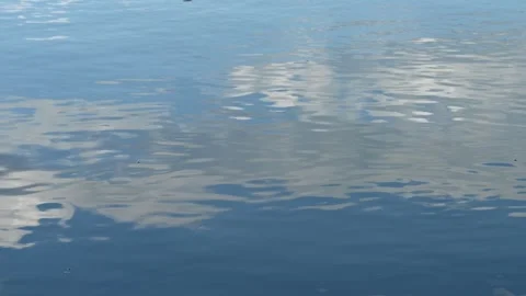 Looking into a calm lake that is reflecting white clouds in a blue sky as Stock Footage 318537832