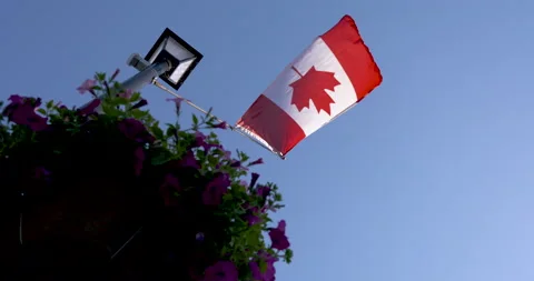 Looking up at a Canada flag flying on a lamp post Stock Footage 132389496