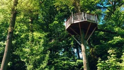 Looking up at canopy walk at the Odense Zoo, Funen, Denmark Stock Footage 155123591