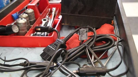 Looking for a certain tool 動画素材 7904274