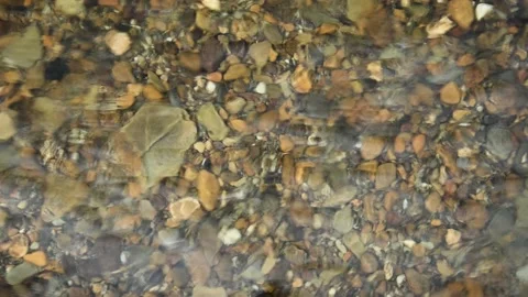 Looking into a clear mountain stream with multi-colored stones on the bottom.  Stock Footage 140937109