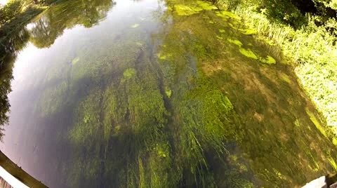 Looking Into Clear River Water From a Bridge Stock Footage 12143641