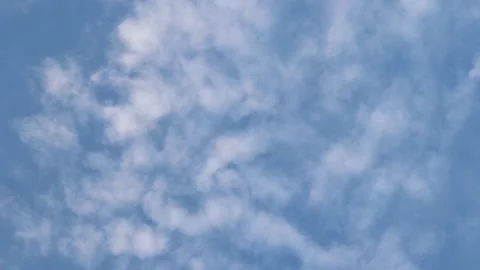 Looking up at clouds Stock Footage 235581829