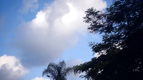 Looking to a cloudy sky from a moving car Stock Footage 80220261