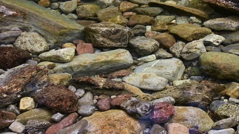 Looking into a crystal-clear mountain river with many multi-colored boulder Stock Footage 141468223