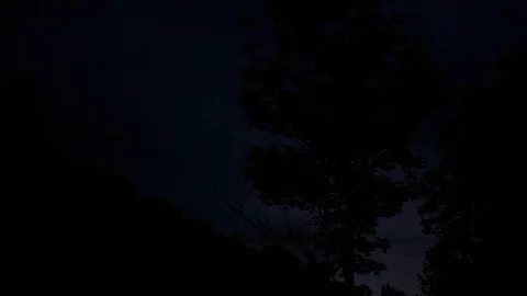 Looking up at dark trees in dreary fall night 스톡 동영상 96048277