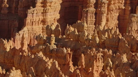 Looking from deep in the canyon to the top of the hoodoos at Bryce Canyon Stock Footage 209146787