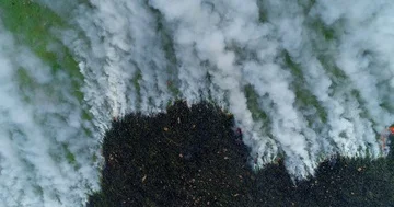 Looking directly down on smoke columns coming from burning green grass on hil Stock Footage 85644516