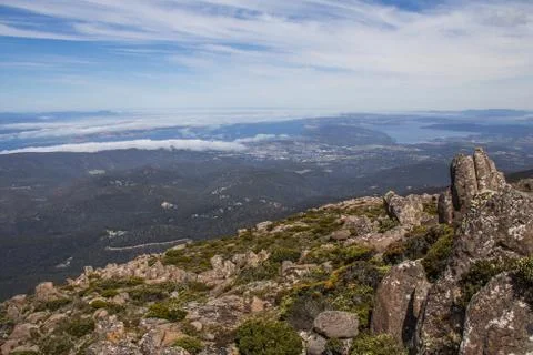 Looking into the distance Foto stock