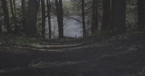 Looking into the distant to a water stream, 4k, VLOG, 24fps Stock Footage 277230212